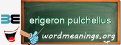 WordMeaning blackboard for erigeron pulchellus